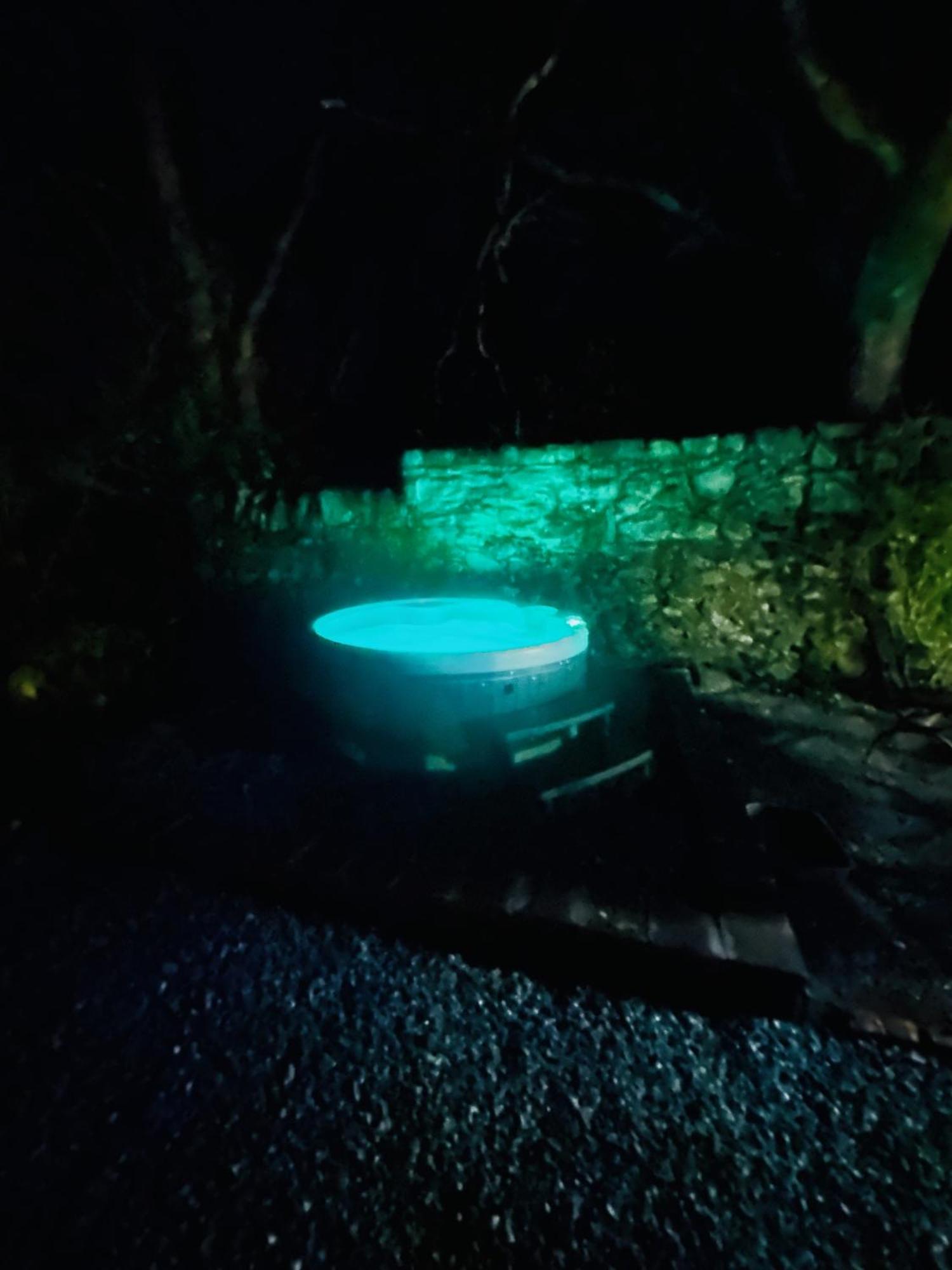 Tiny Romantic Retreat With Hot Tub On A Country Estate Near Cardigan Bay In Eryri Snowdonia Лланбедр Екстер'єр фото