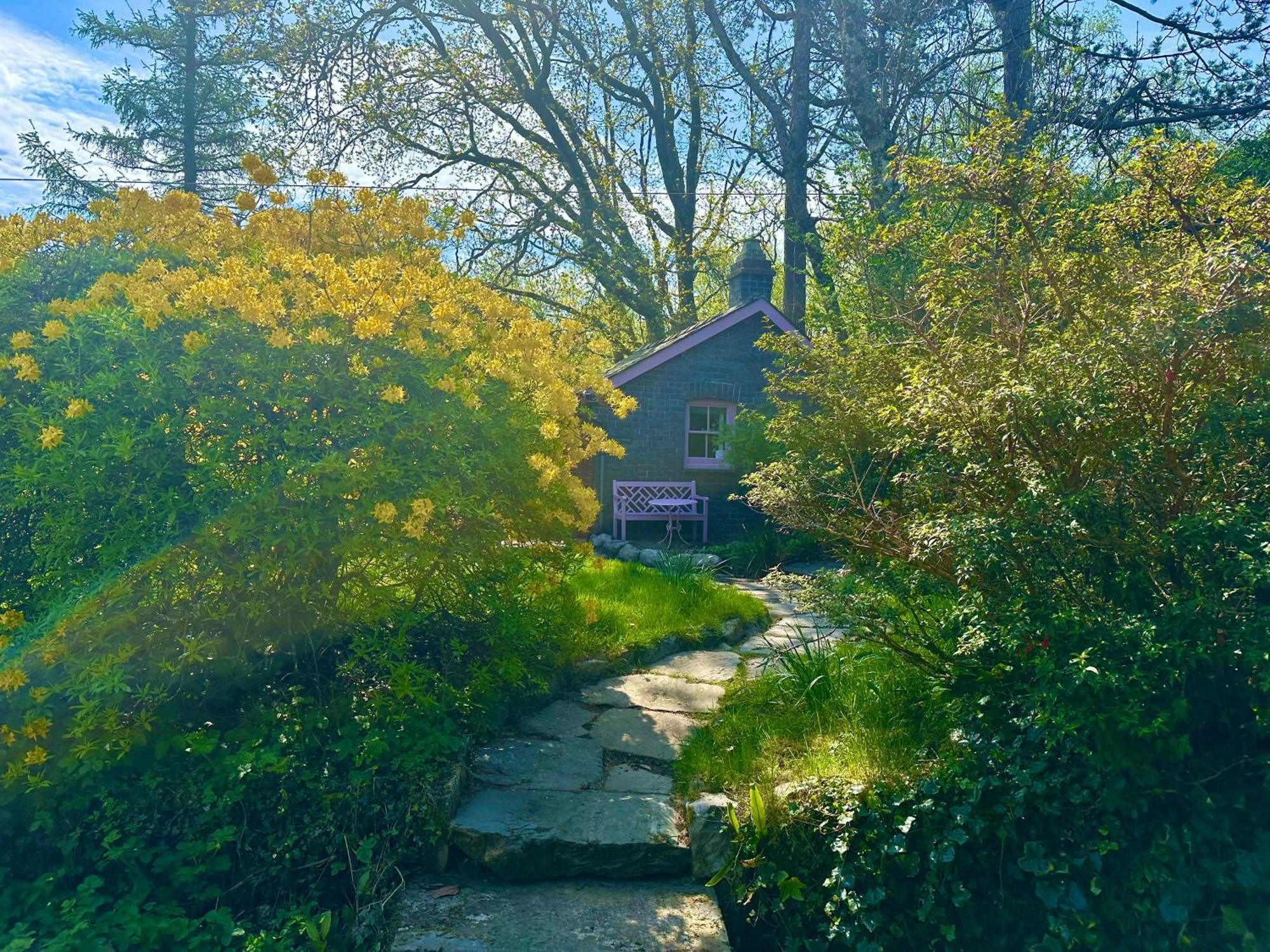 Tiny Romantic Retreat With Hot Tub On A Country Estate Near Cardigan Bay In Eryri Snowdonia Лланбедр Екстер'єр фото